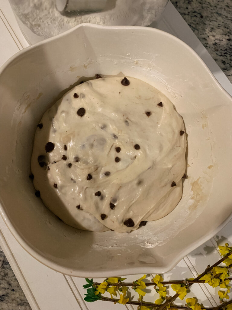 Chocolate Chip Sourdough Bulk Ferment