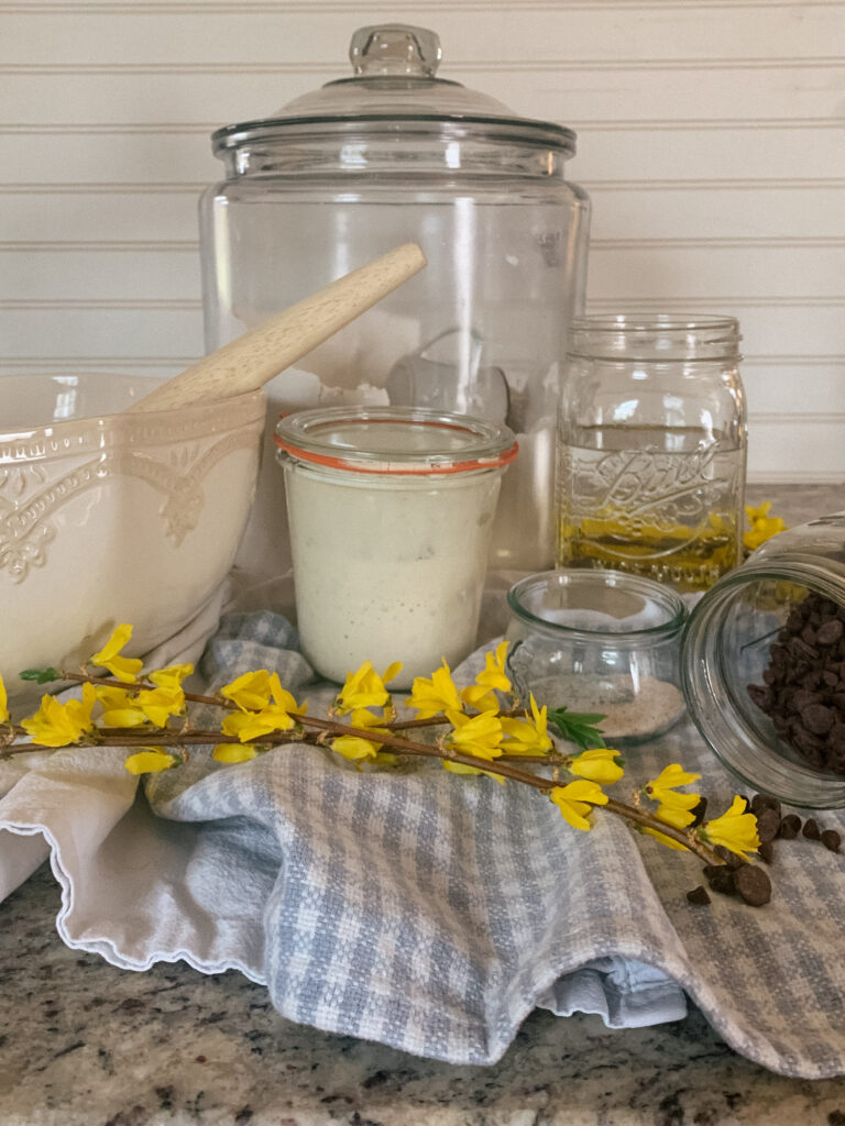 Chocolate Chip Sourdough Ingredients