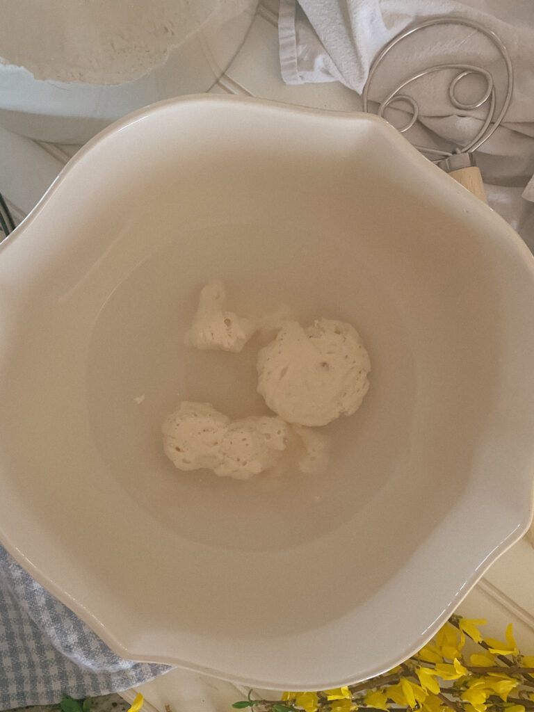 Sourdough Starter in bowl